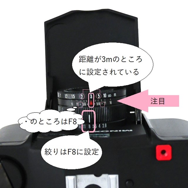 f:id:papiocamera:20200627151856j:plain f:id:papiocamera:20200627151856j:plain