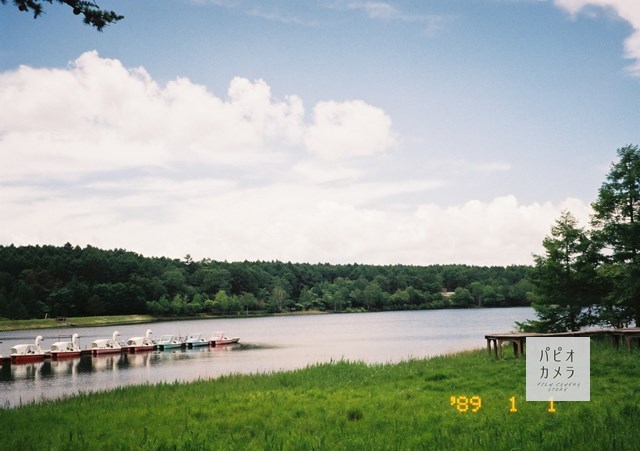 f:id:papiocamera:20200629144409j:plain