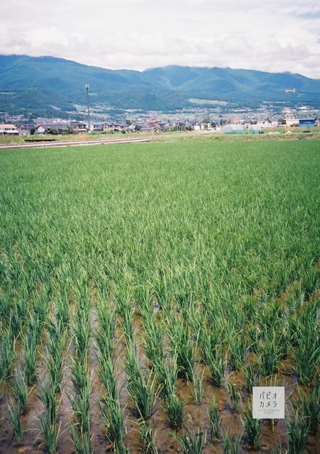 f:id:papiocamera:20200629145126j:plain