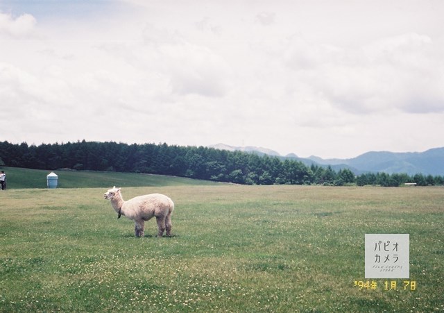 f:id:papiocamera:20200630150117j:plain