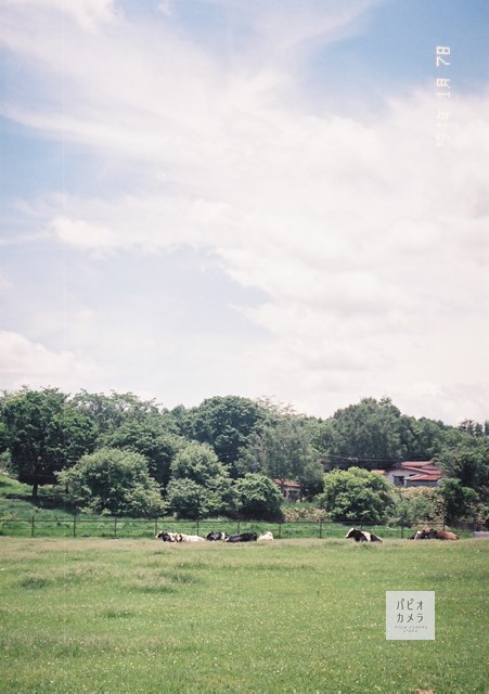 f:id:papiocamera:20200630150133j:plain