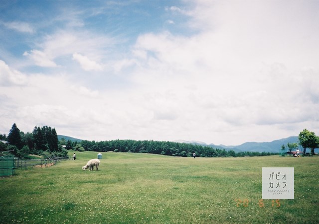 f:id:papiocamera:20200630150236j:plain