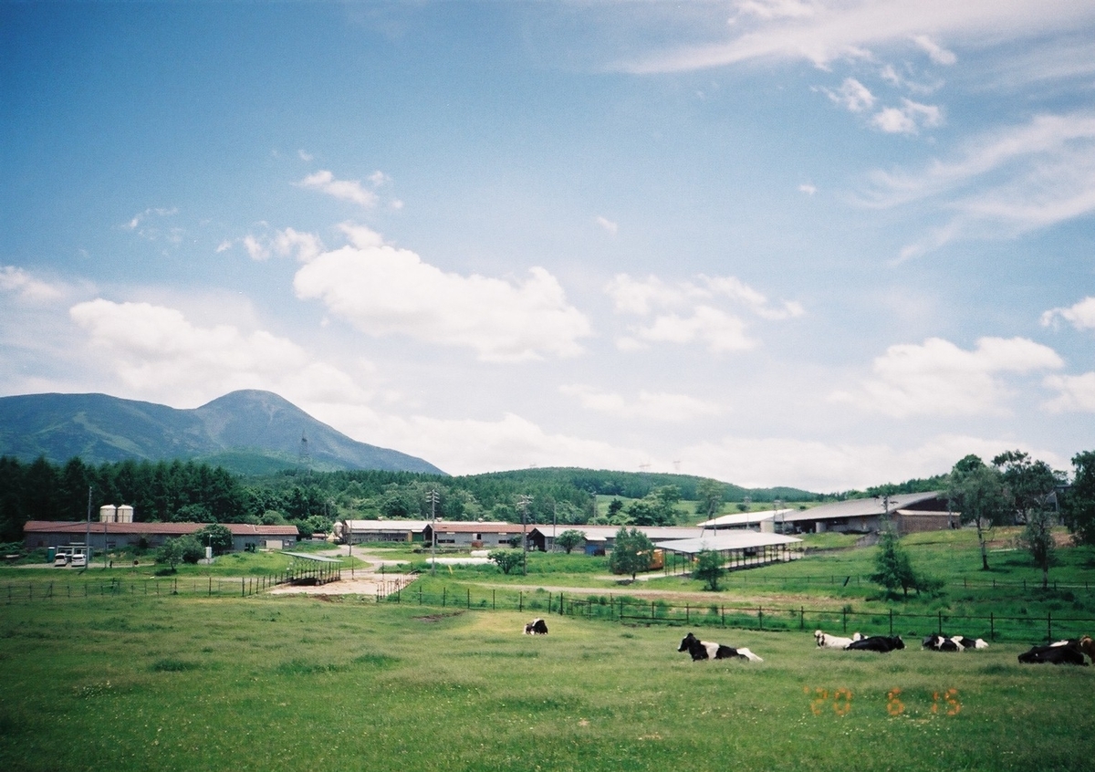 f:id:papiocamera:20200630150622j:plain