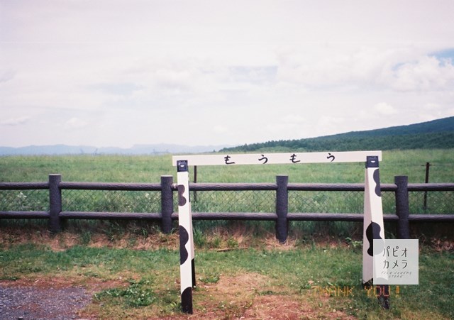 f:id:papiocamera:20200630151515j:plain