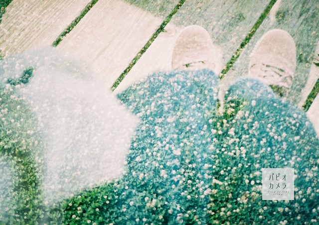 f:id:papiocamera:20200714164036j:plain f:id:papiocamera:20200714164036j:plain