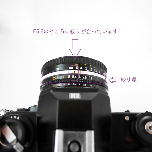 f:id:papiocamera:20200910170146j:plain