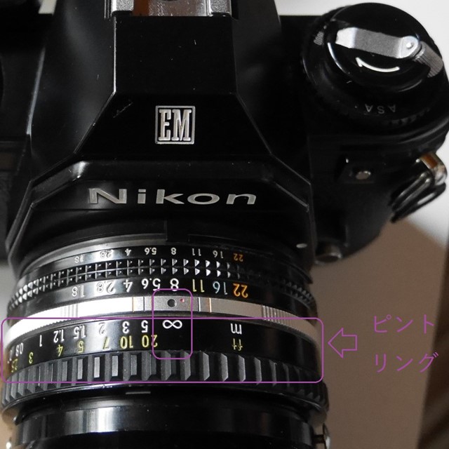 f:id:papiocamera:20200913100009j:plain