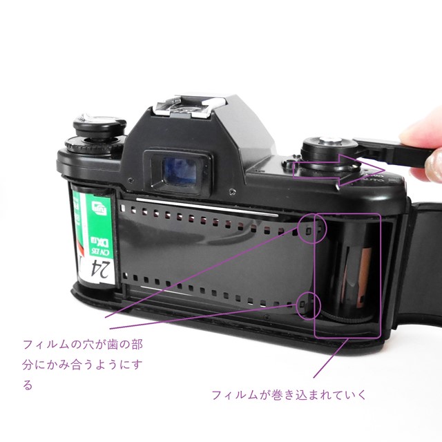 f:id:papiocamera:20200913135450j:plain f:id:papiocamera:20200913135450j:plain