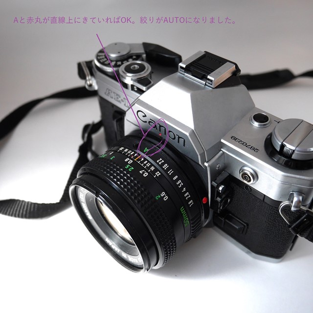 f:id:papiocamera:20200919130425j:plain f:id:papiocamera:20200919130425j:plain