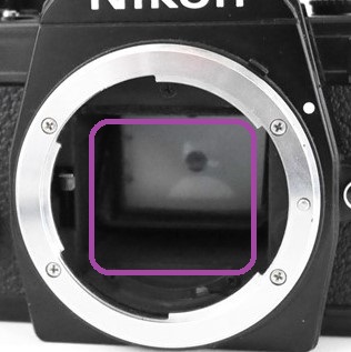 f:id:papiocamera:20200919150046j:plain f:id:papiocamera:20200919150046j:plain