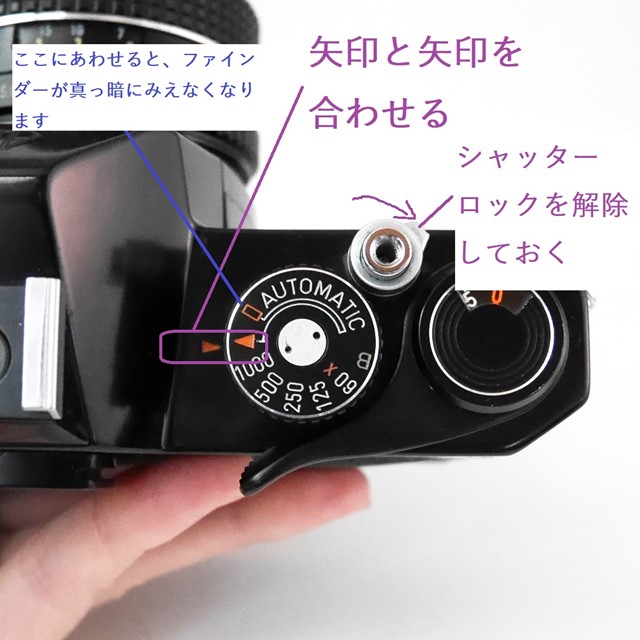 f:id:papiocamera:20201011132544j:plain f:id:papiocamera:20201011132544j:plain