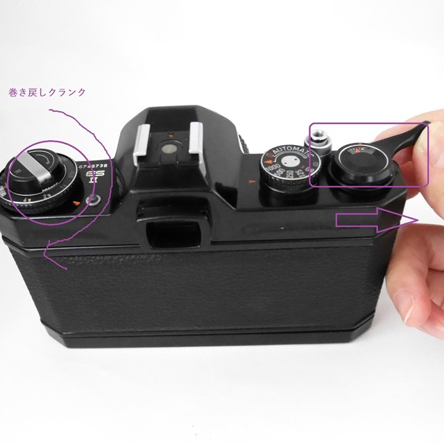 f:id:papiocamera:20201011135051j:plain f:id:papiocamera:20201011135051j:plain