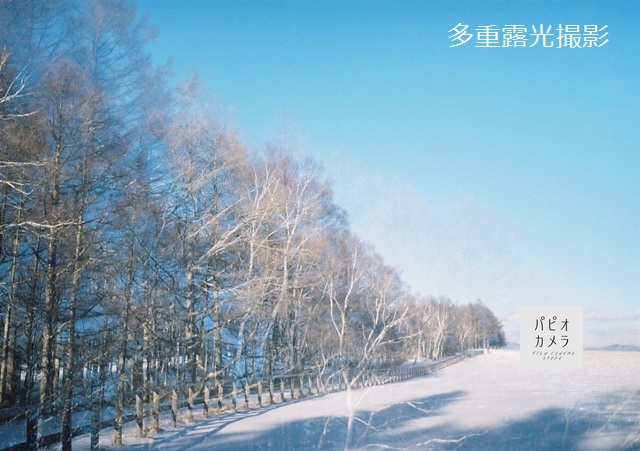 f:id:papiocamera:20210211154307j:plain