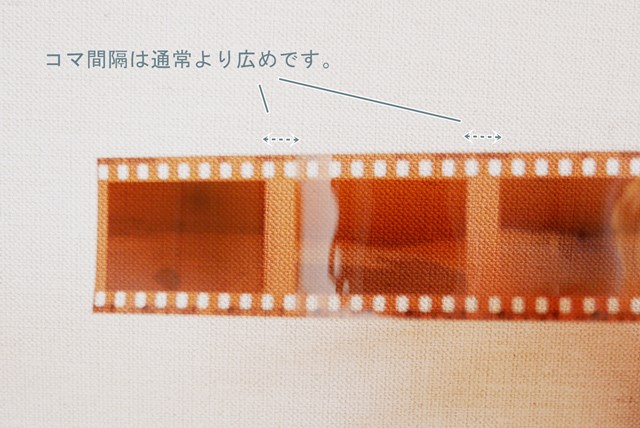 f:id:papiocamera:20210211154635j:plain