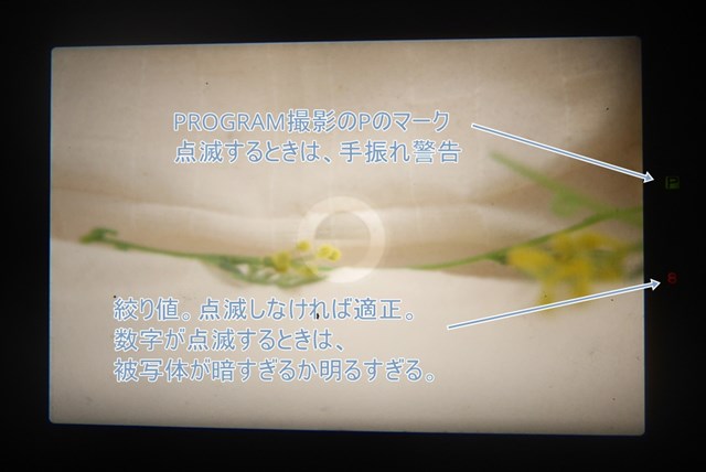 f:id:papiocamera:20210423095502j:plain