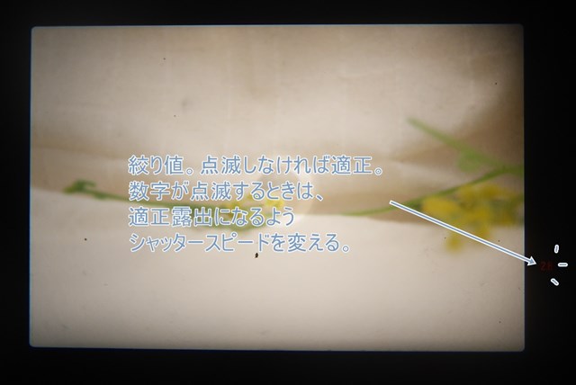 f:id:papiocamera:20210423095620j:plain