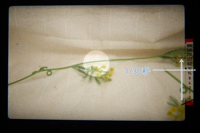 f:id:papiocamera:20210423123719j:plain