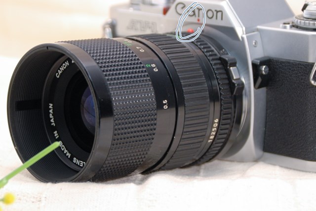 f:id:papiocamera:20210423124045j:plain