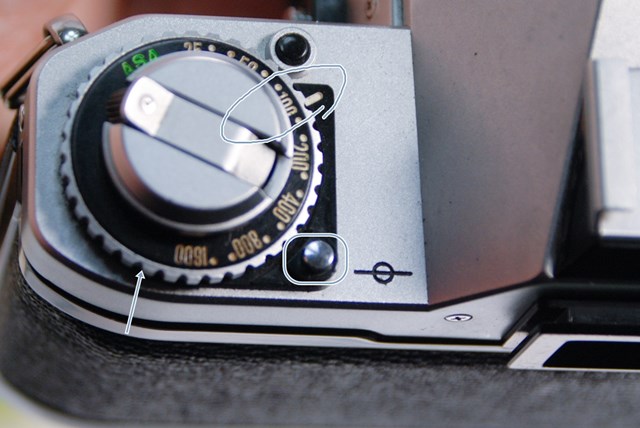 f:id:papiocamera:20210423130109j:plain