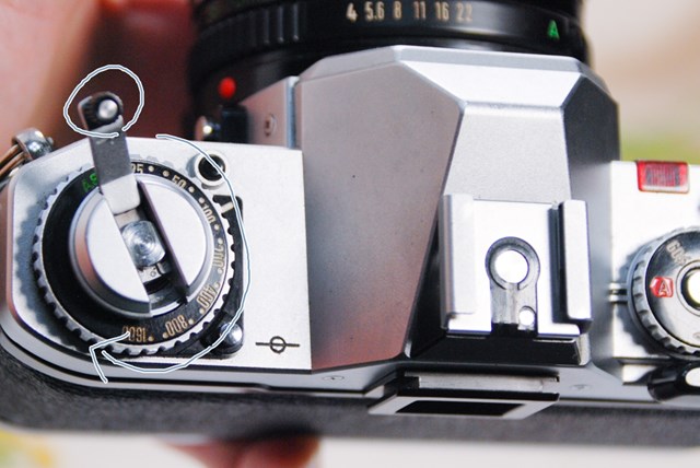 f:id:papiocamera:20210423132933j:plain