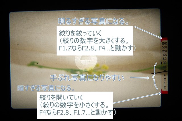 f:id:papiocamera:20210510132022j:plain