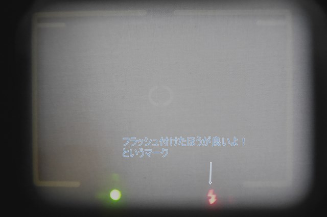 f:id:papiocamera:20210602144934j:plain