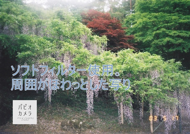 f:id:papiocamera:20210602150524j:plain