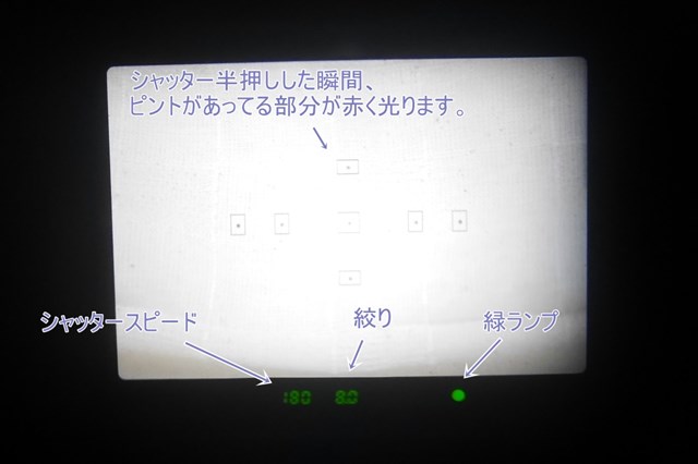 f:id:papiocamera:20210712153840j:plain