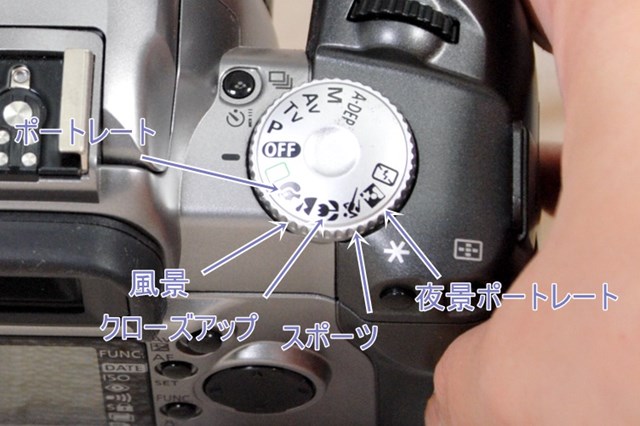 f:id:papiocamera:20210715101839j:plain