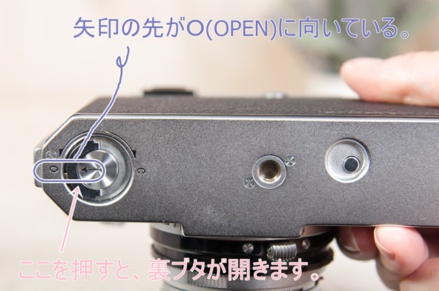 f:id:papiocamera:20211022134754j:plain
