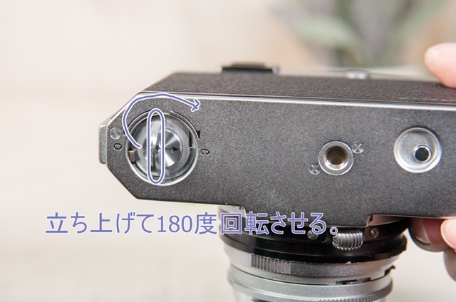 f:id:papiocamera:20211022135041j:plain