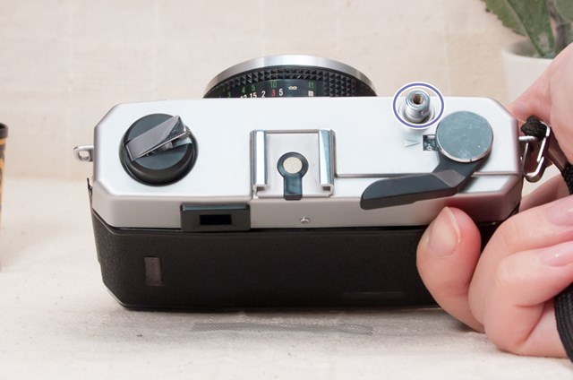 f:id:papiocamera:20220121100027j:plain