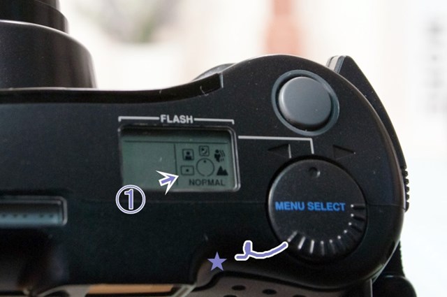 【動作確認済】 Olympus OZ 110 ZOOM F0619-30e p Olympus OZ 110 Zoom – FCJ