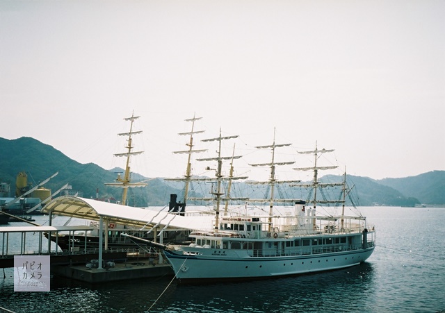 OLYMPUS TRIP35のフィルム別作例 - 〔BLOG〕パピオカメラ