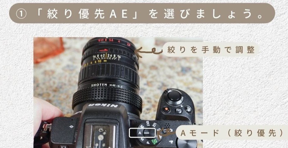 オールドレンズ 超入門！ - 〔BLOG〕パピオカメラ│フィルム