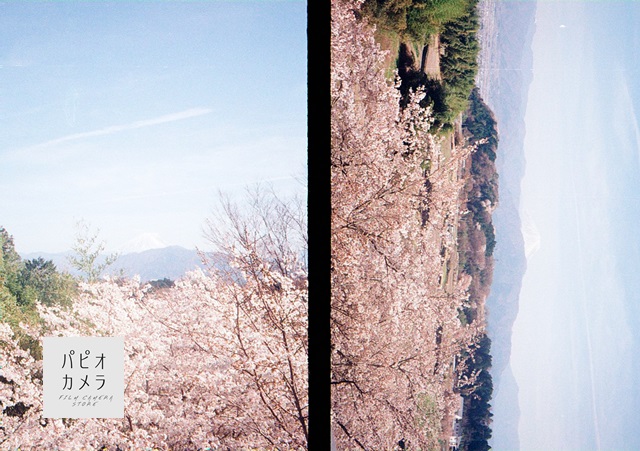 OLYMPUS PEN EE-2【カメラ図鑑】 - 〔BLOG〕パピオカメラ