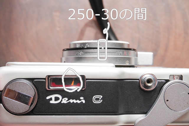 CANON Demi Cの使い方♪ - 〔BLOG〕パピオカメラ│フィルム