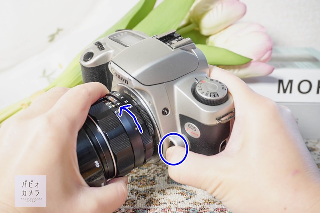 Canon EOS キスデジタル　オールドレンズ付　タクマー55mm f/1.8 Tips】TAKUMAR 55mm F1.8をオートのフィルムカメラ「CANON EOS