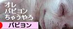 にほんブログ村 犬ブログへ