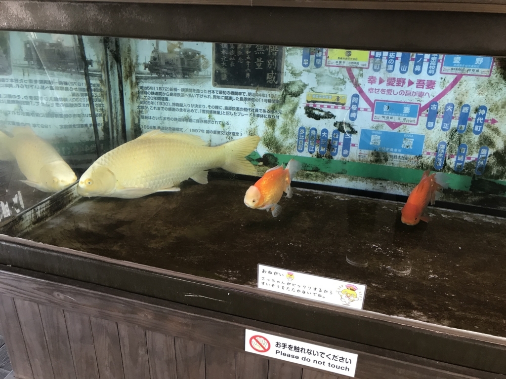 f:id:papix:20180520102239j:plain