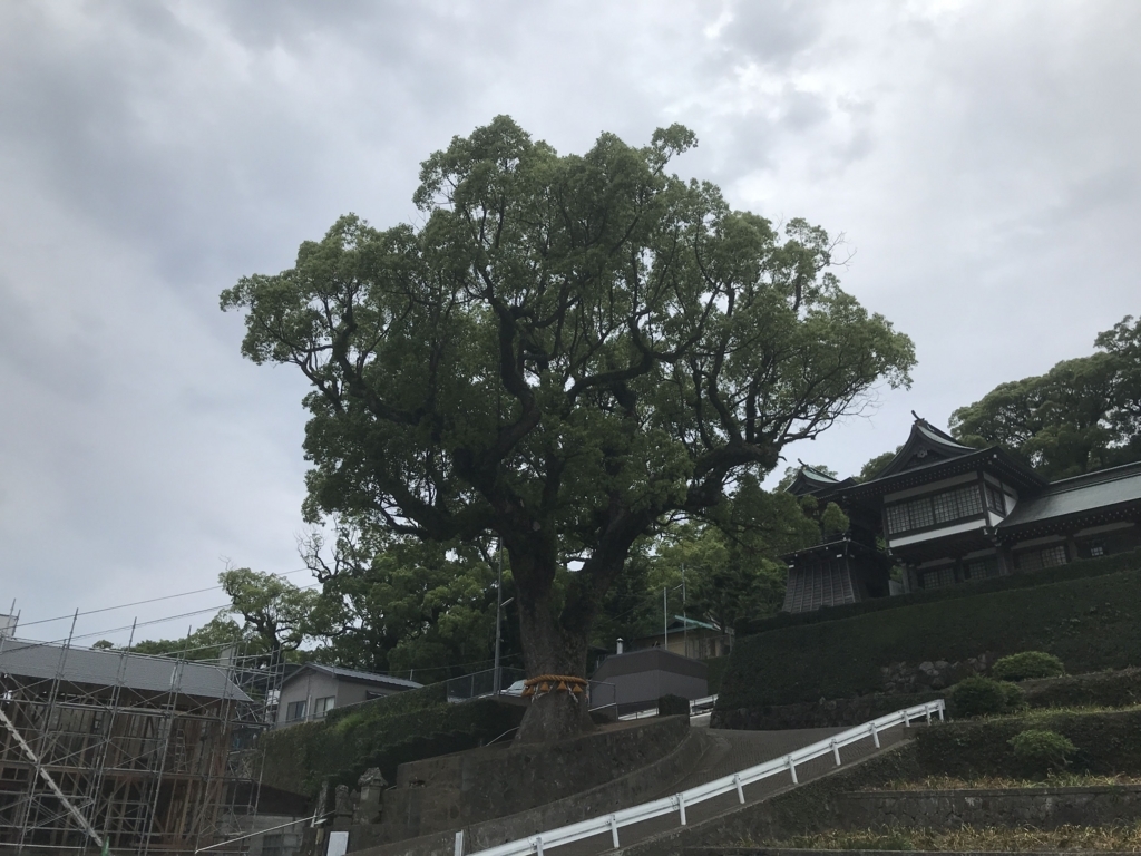 f:id:papix:20180520172733j:plain f:id:papix:20180520172733j:plain