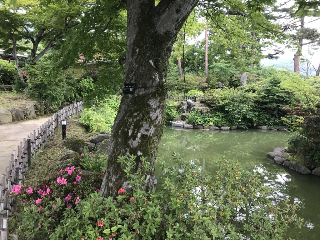 f:id:papix:20180617162240j:plain f:id:papix:20180617162240j:plain