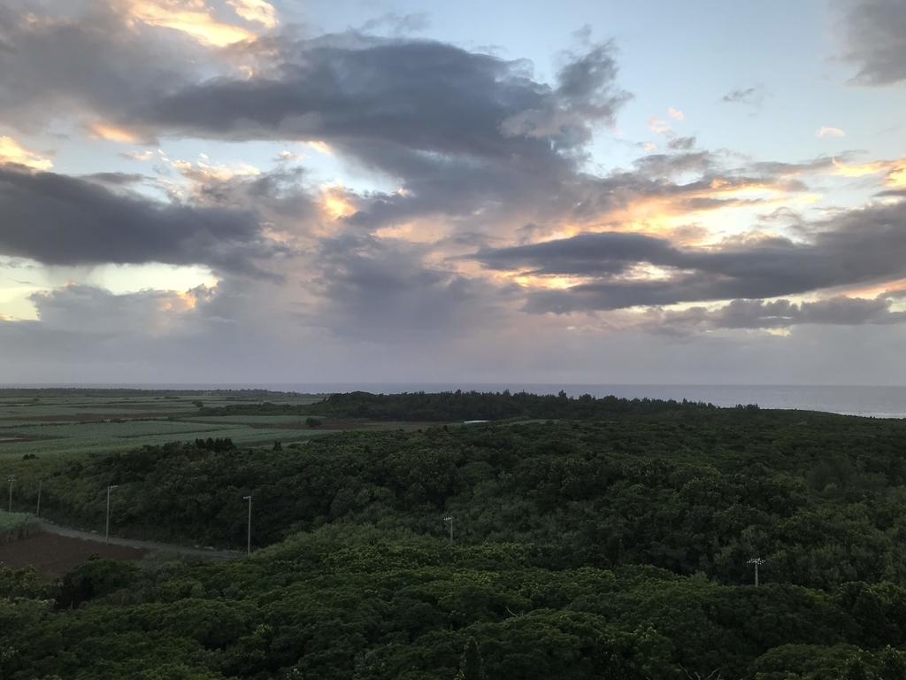 f:id:papix:20180925183044j:plain f:id:papix:20180925183044j:plain