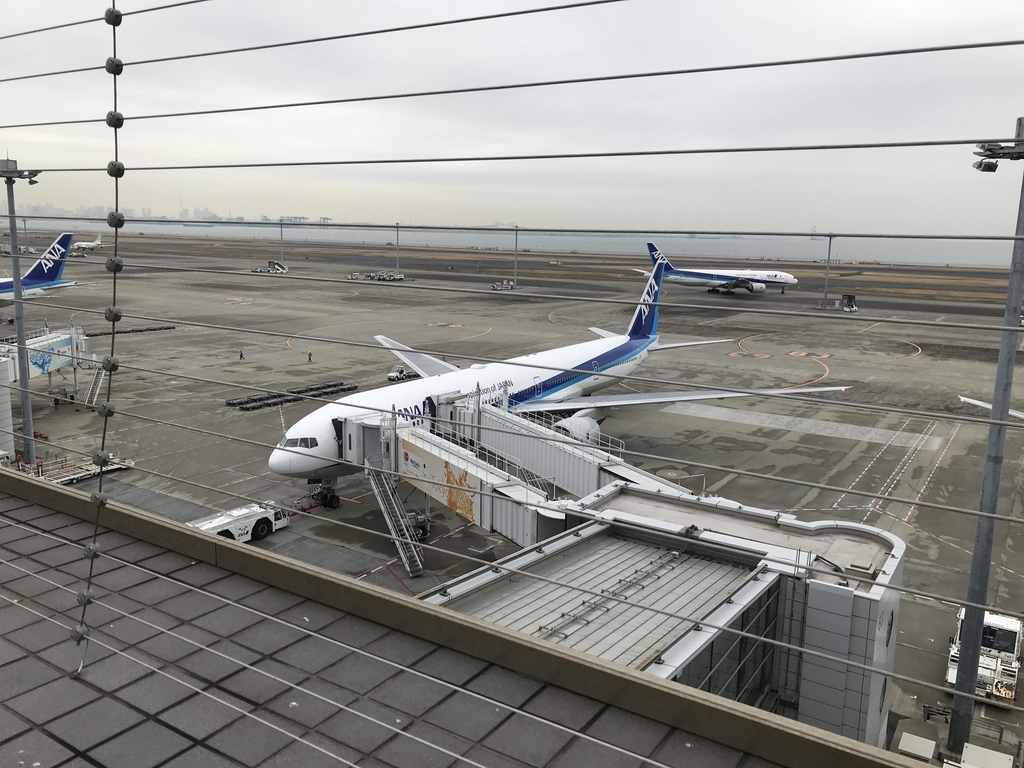 f:id:papix:20190112135020j:plain f:id:papix:20190112135020j:plain
