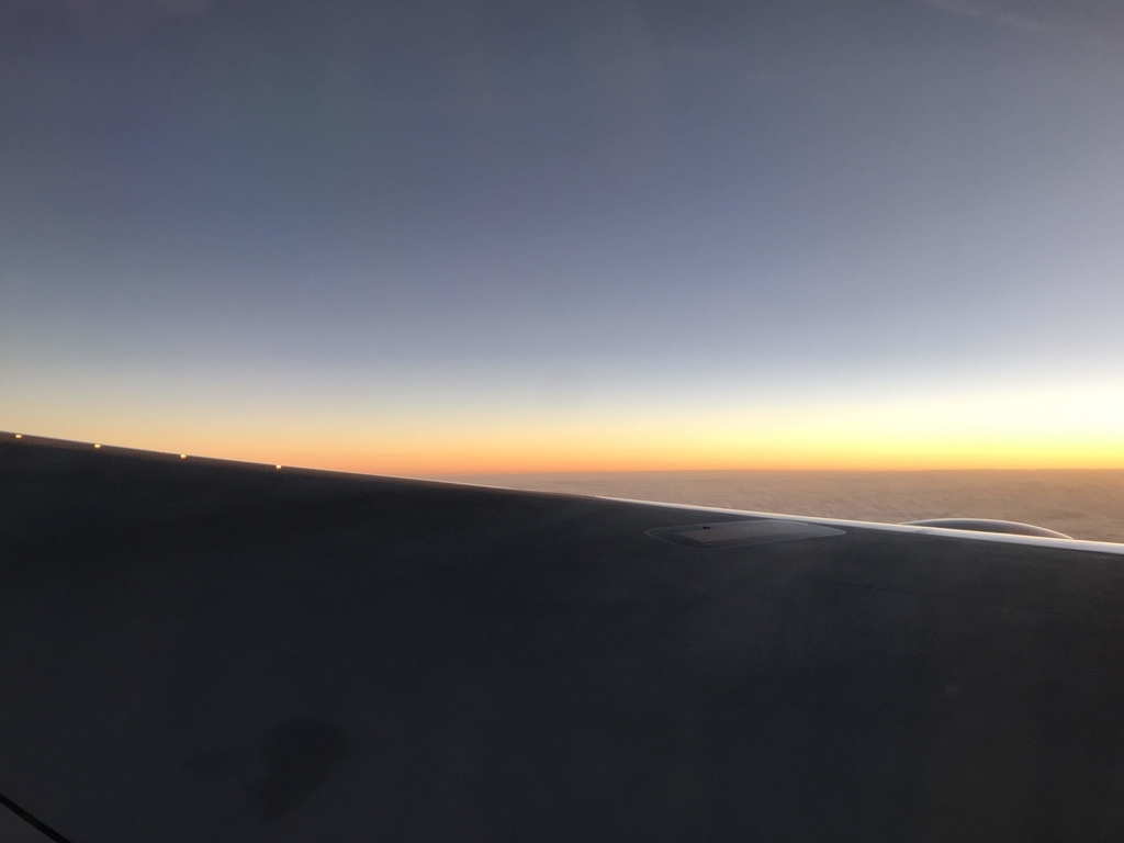 f:id:papix:20190112175217j:plain f:id:papix:20190112175217j:plain