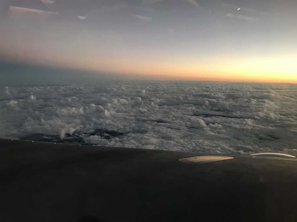 f:id:papix:20190112180439j:plain f:id:papix:20190112180439j:plain