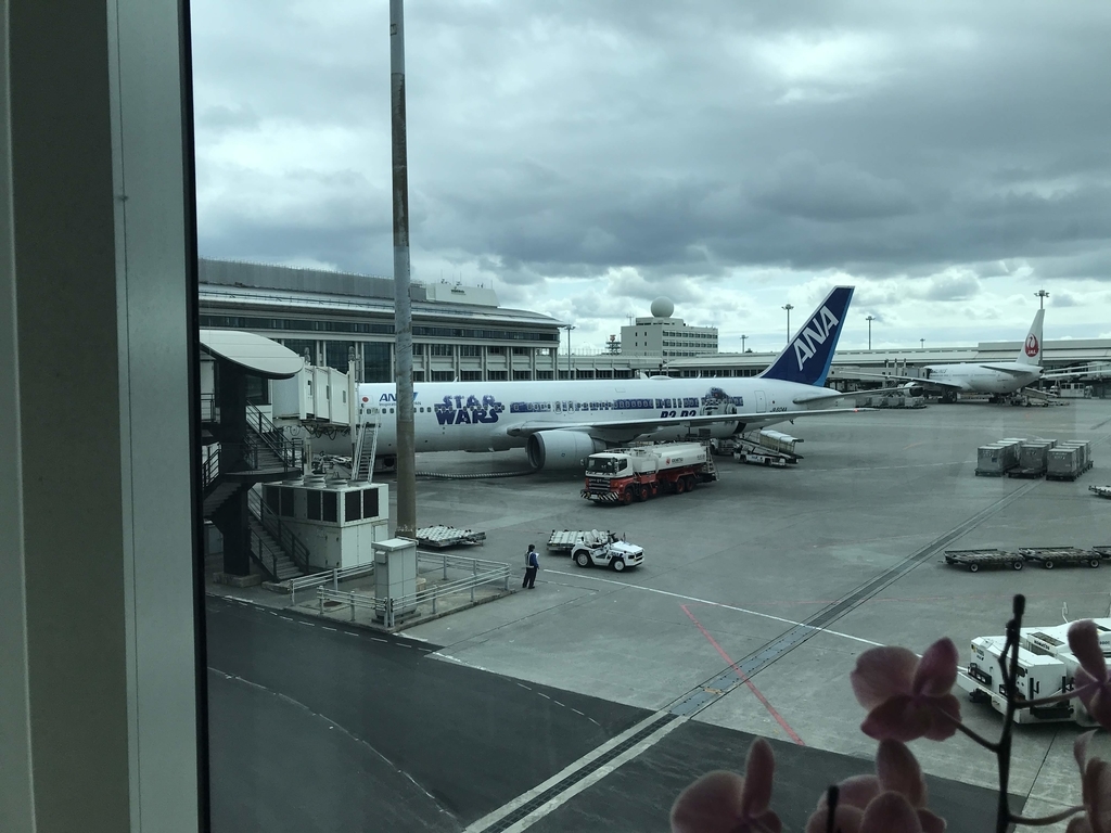 f:id:papix:20190210114936j:plain f:id:papix:20190210114936j:plain