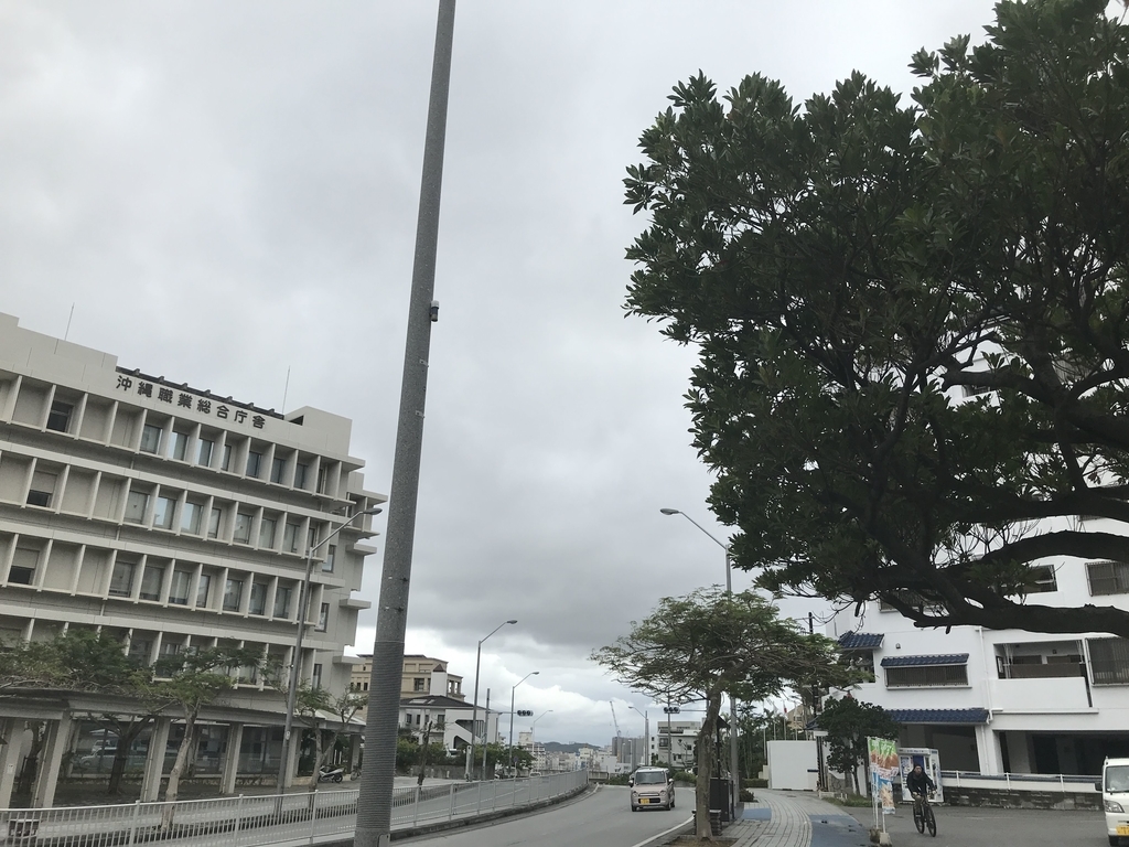 f:id:papix:20190211111241j:plain f:id:papix:20190211111241j:plain
