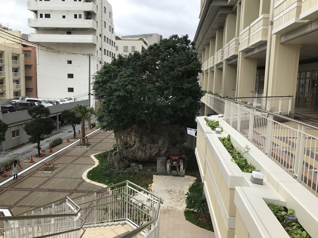 f:id:papix:20190211141245j:plain f:id:papix:20190211141245j:plain