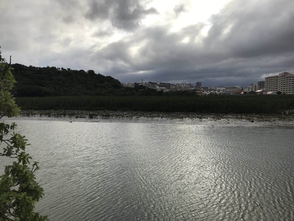 f:id:papix:20190211165224j:plain f:id:papix:20190211165224j:plain